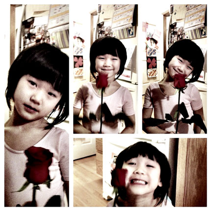 Roses-Nov-2012