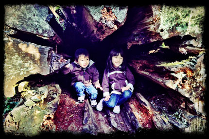 Photo-11-3-2013,-11-02-19-A